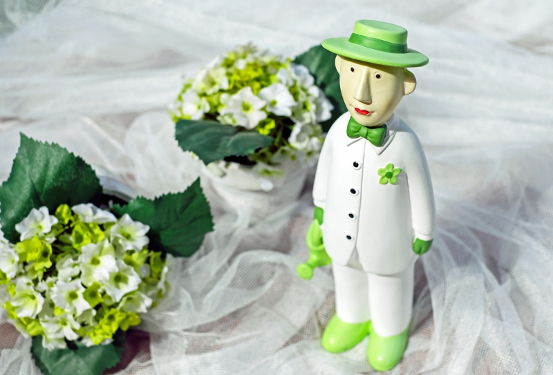 vente-ST DALMAS LE SELVAGE-min_man-person-flower-green-toy-fig-546529-pxhere.com